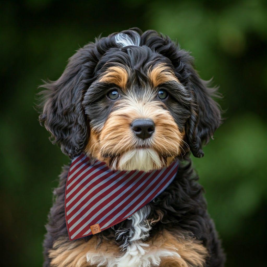 Burgundy Stripes