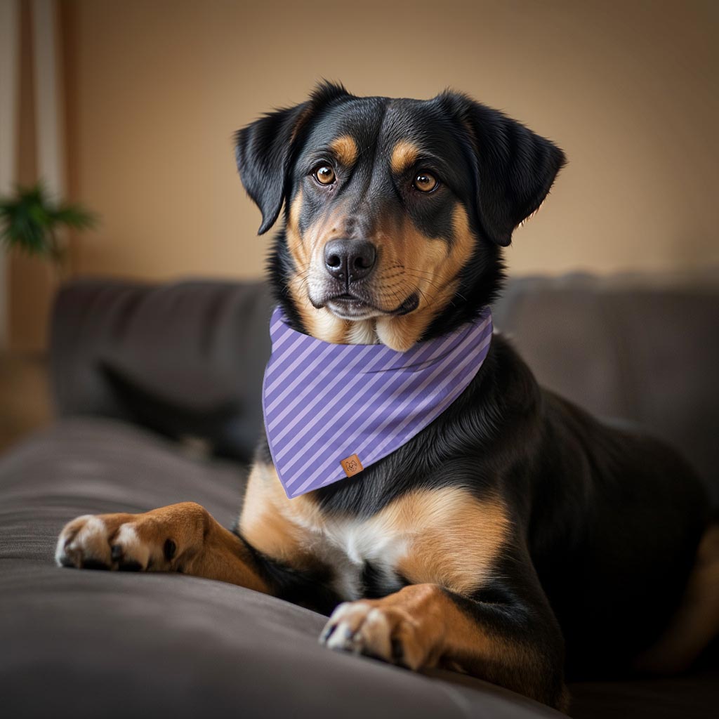 Purple Stripes
