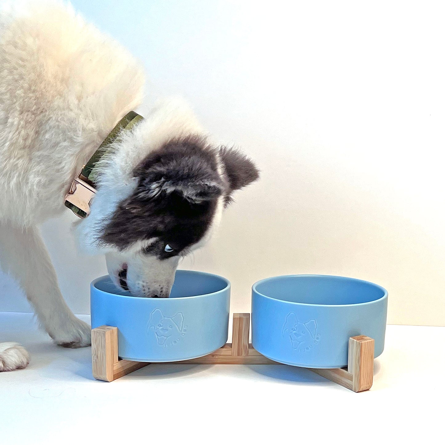 JD Bowl in Blue