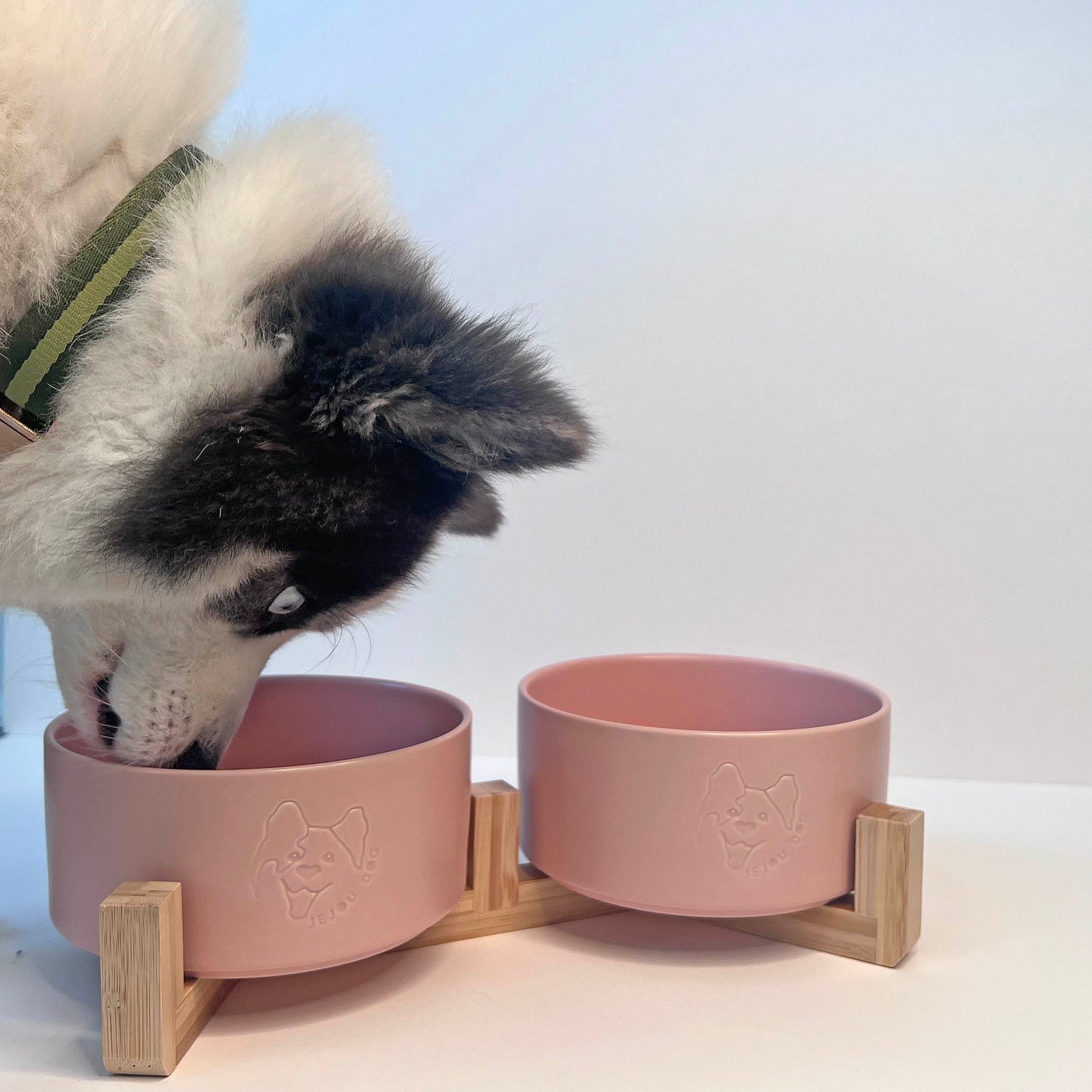 JD Bowl in Pink