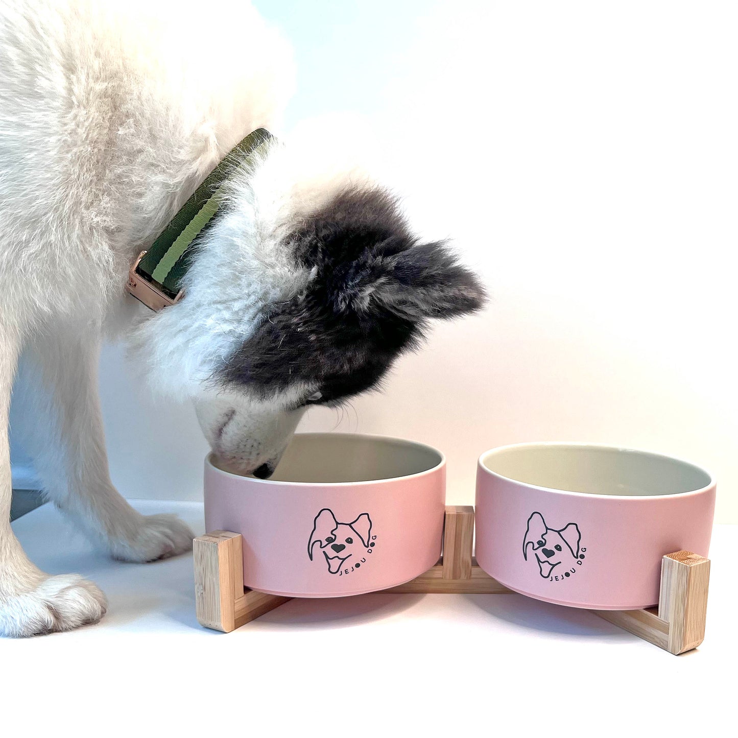 JD Bowl in Pink - Printed Logo