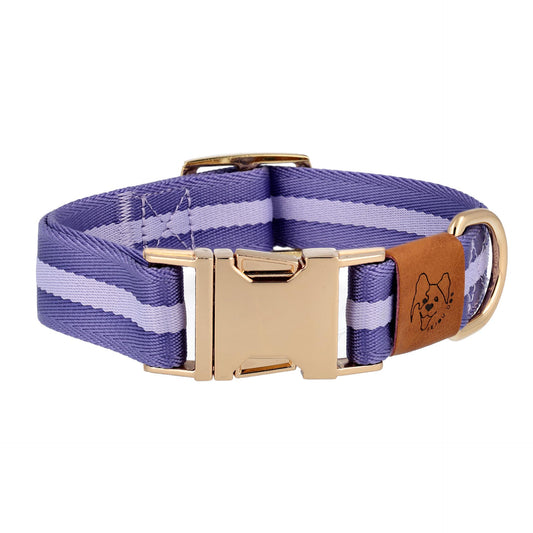 Dog Stylish and Durable Collars in Blue Color Front