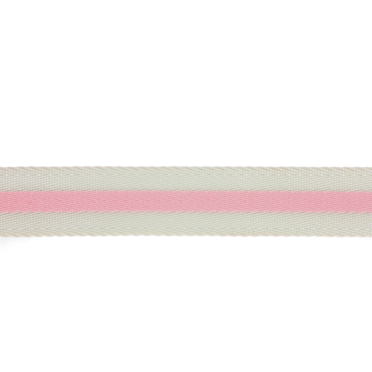 dog leash durable nylon and stylish in light green