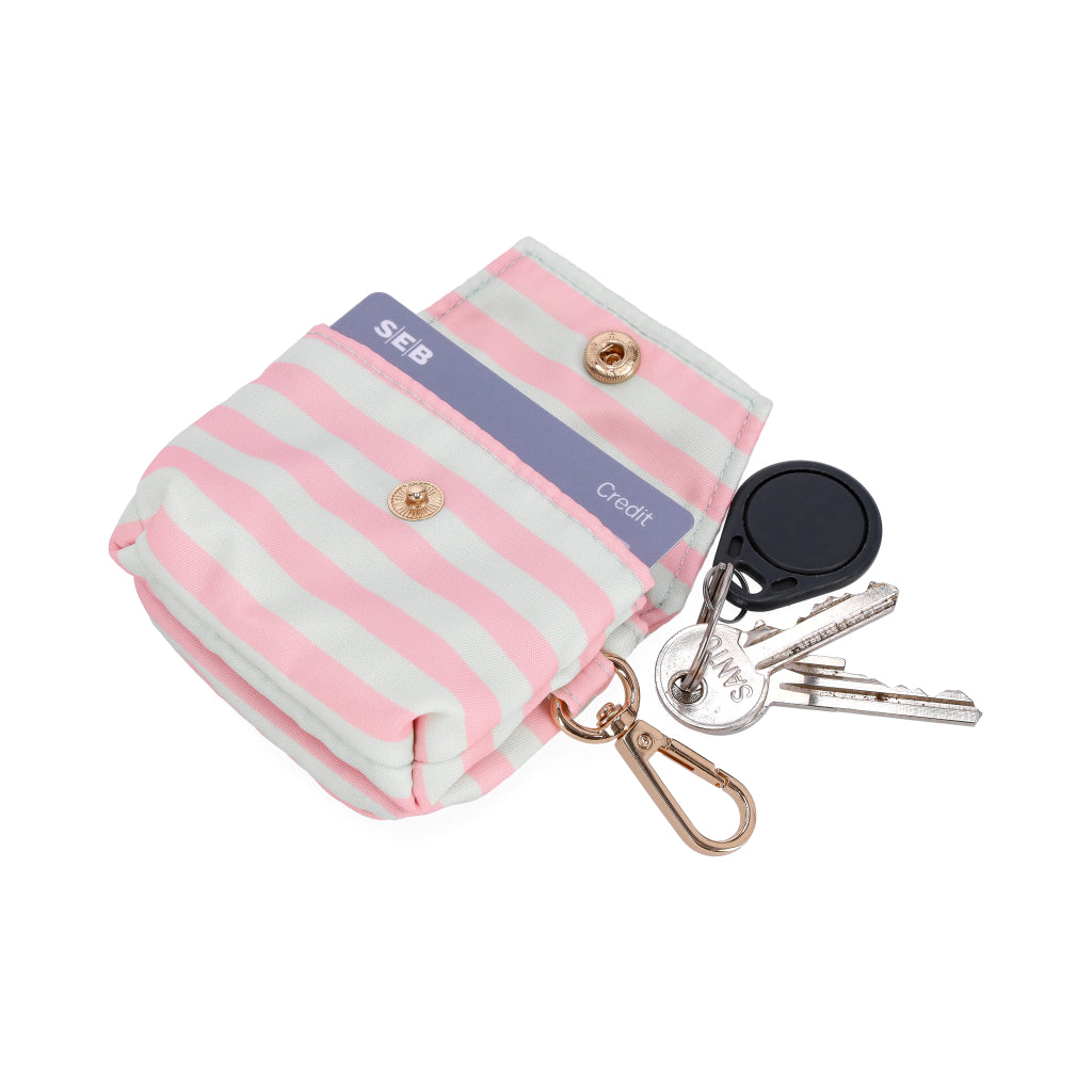 pet collars and leashes