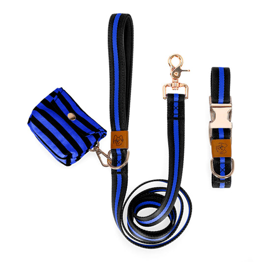 Collar and leash set with a dog waste bag holder in blue gold accessories