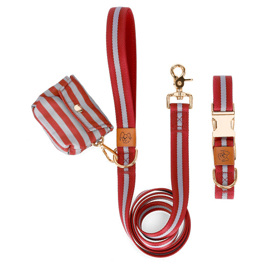 dog collar and leash and bag matching set in burgundy