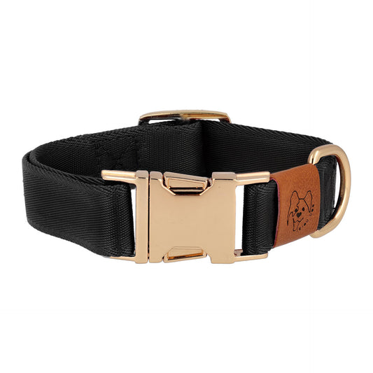 black adjustable dog collar gold