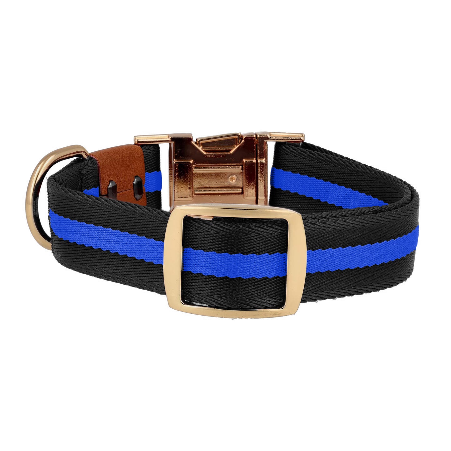 Dog collar in black and blue colors with gold accessories