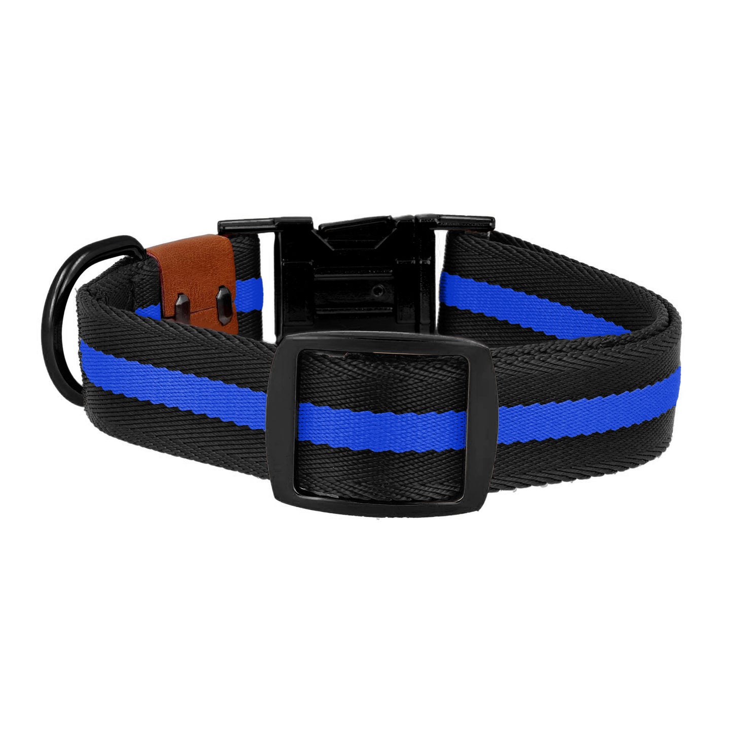 dog collar in black and blue color black metal matching dog accessories back