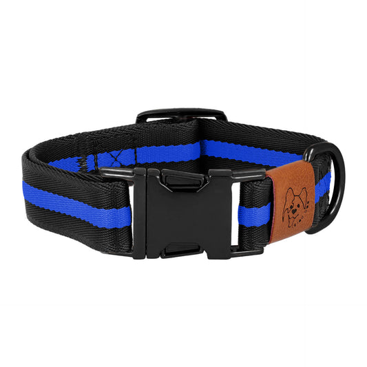 dog collar in black and blue color black metal accessories front
