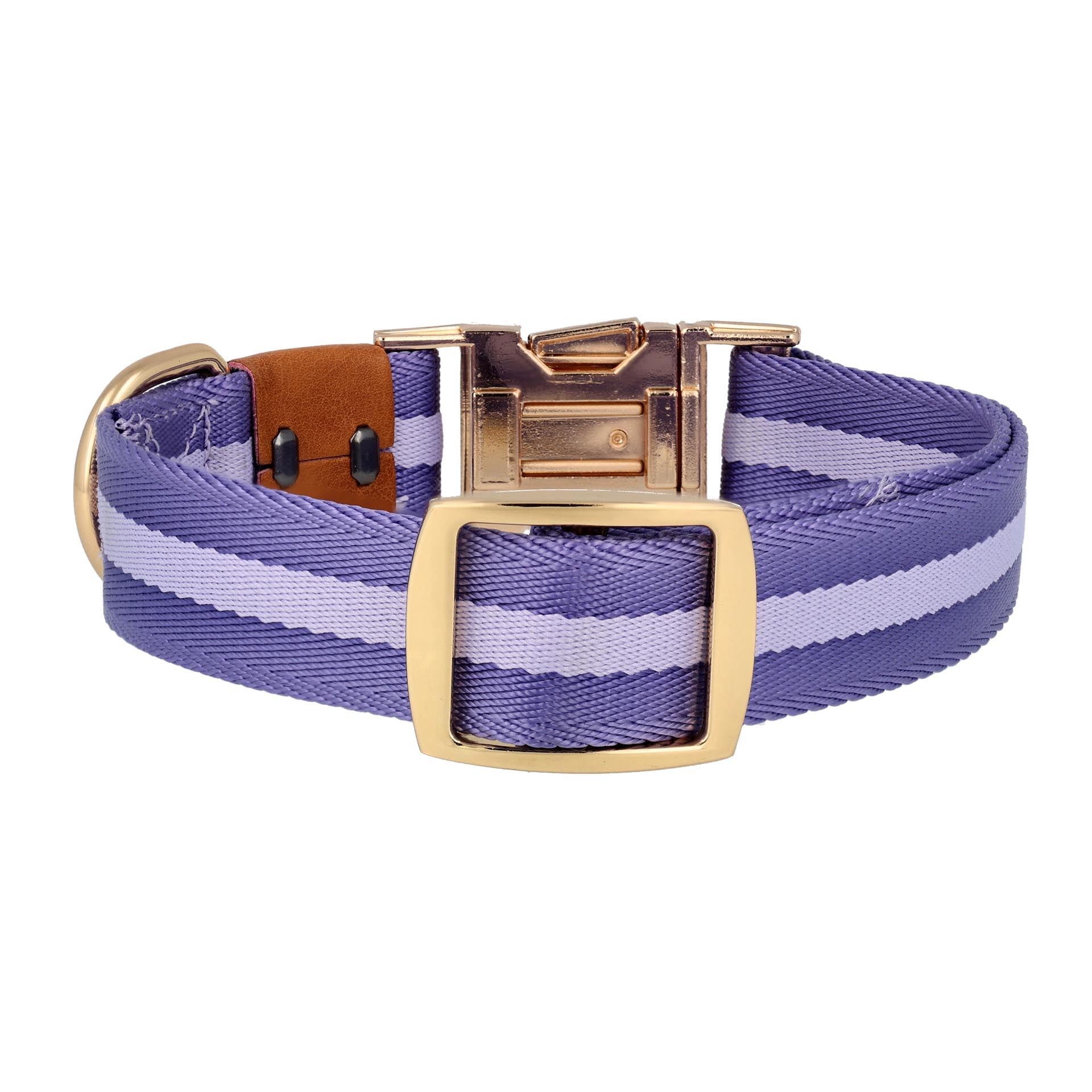 dog collar in blue color back