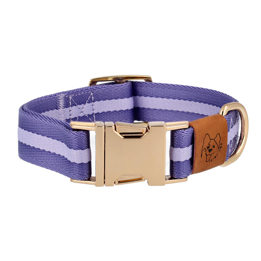 dog collar in blue color front