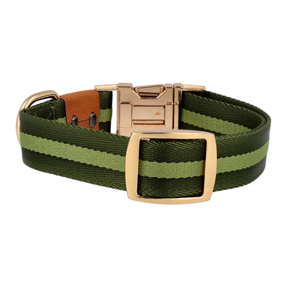 dog collar in green color back