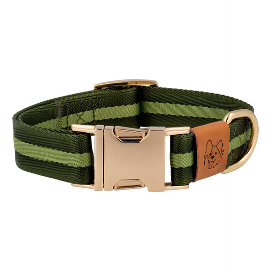 dog collar in green color front