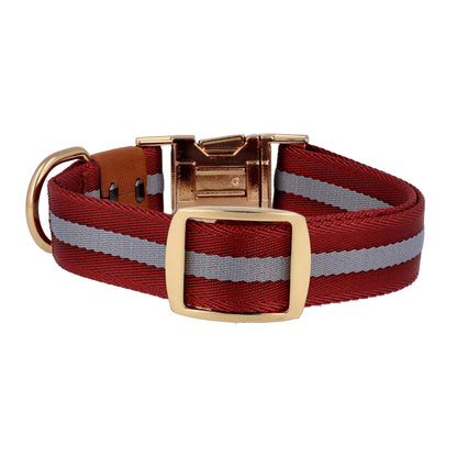 dog collar in red color back