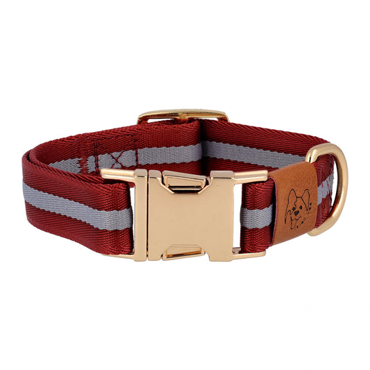 dog collar in red color front