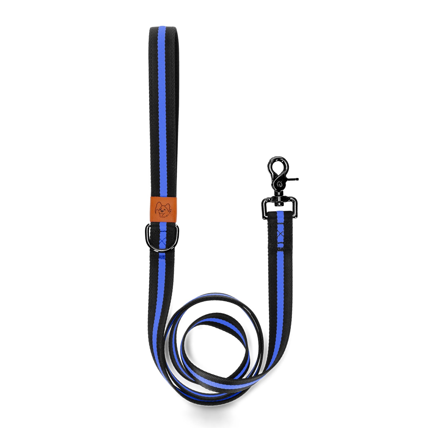 dog leash durable and stylish blue with black accessories