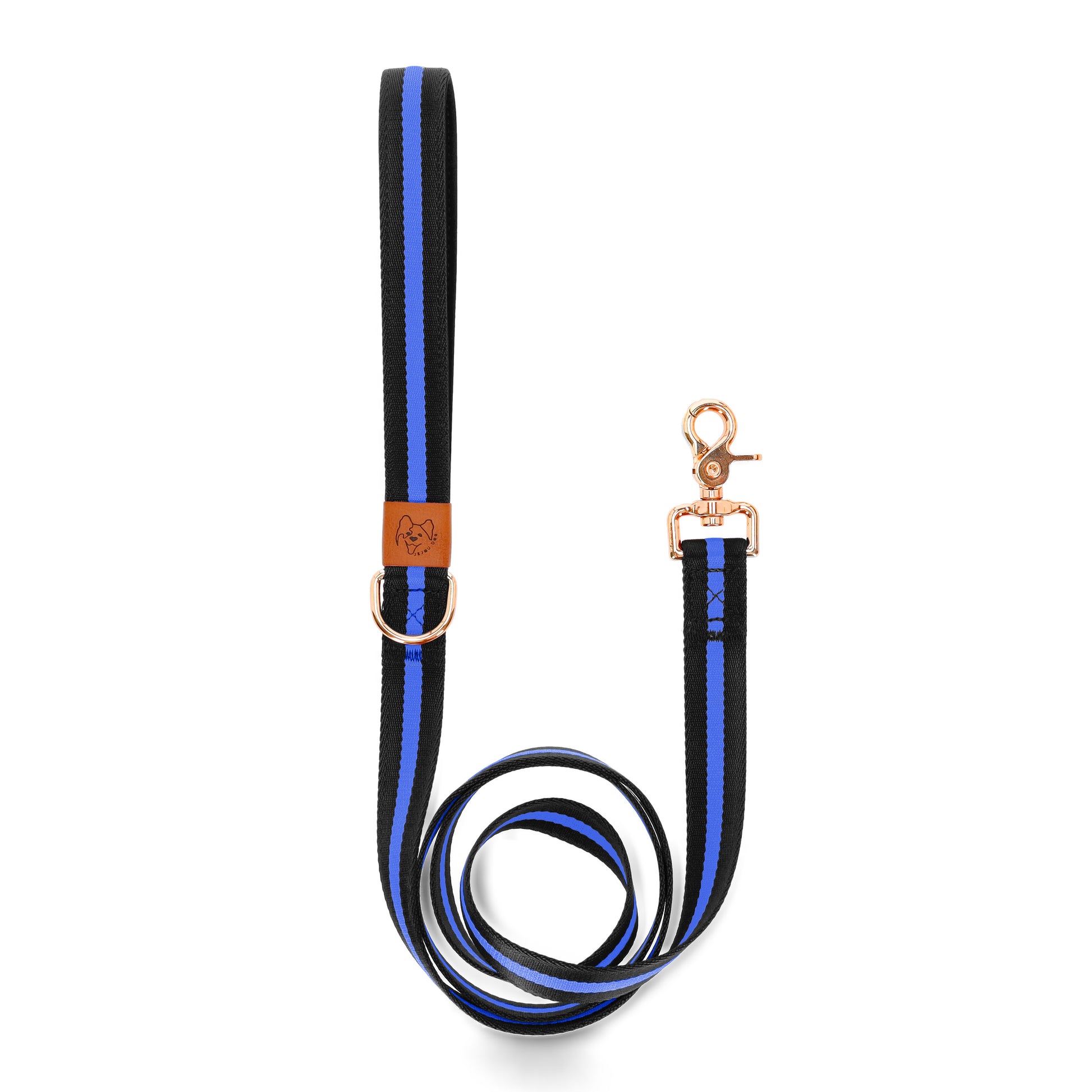 dog leash durable and stylish blue with golden accessories