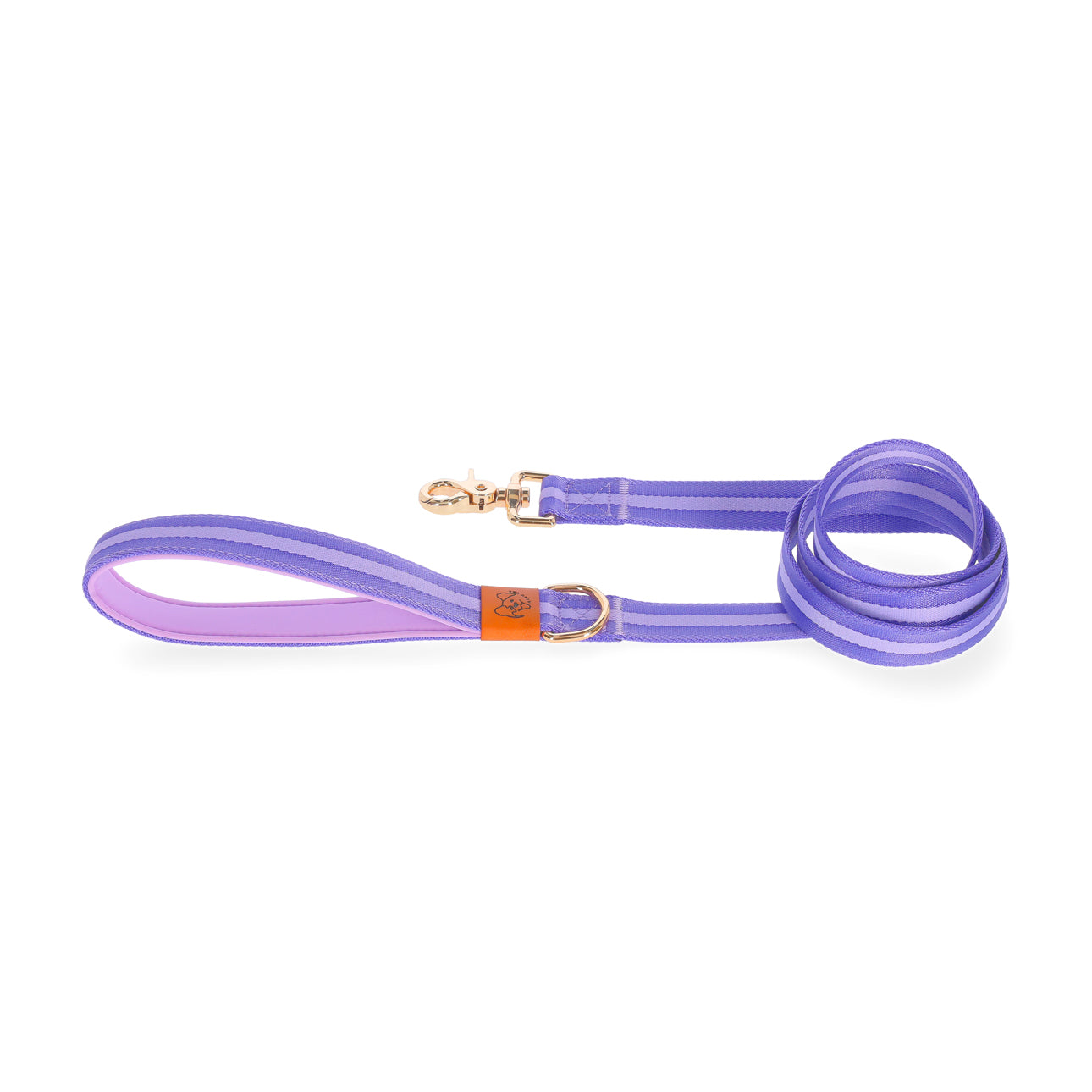 dog leash durable and stylish blue