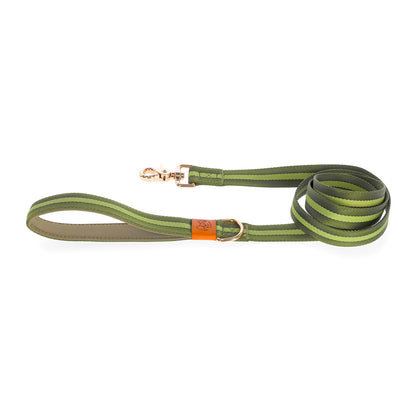 dog leash durable and stylish in green