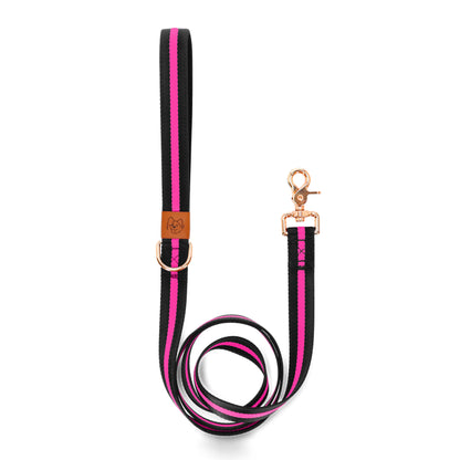 dog leash durable and stylish pink with golden accessories