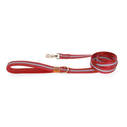 Stylish and Durable Dog Collars and stylish in red