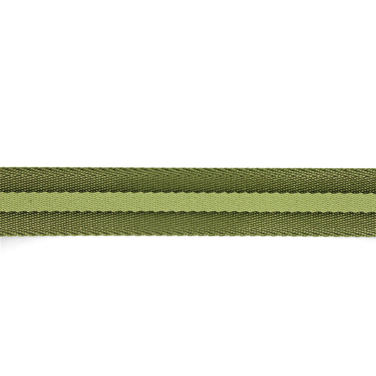 dog leash durable nylon and stylish in green