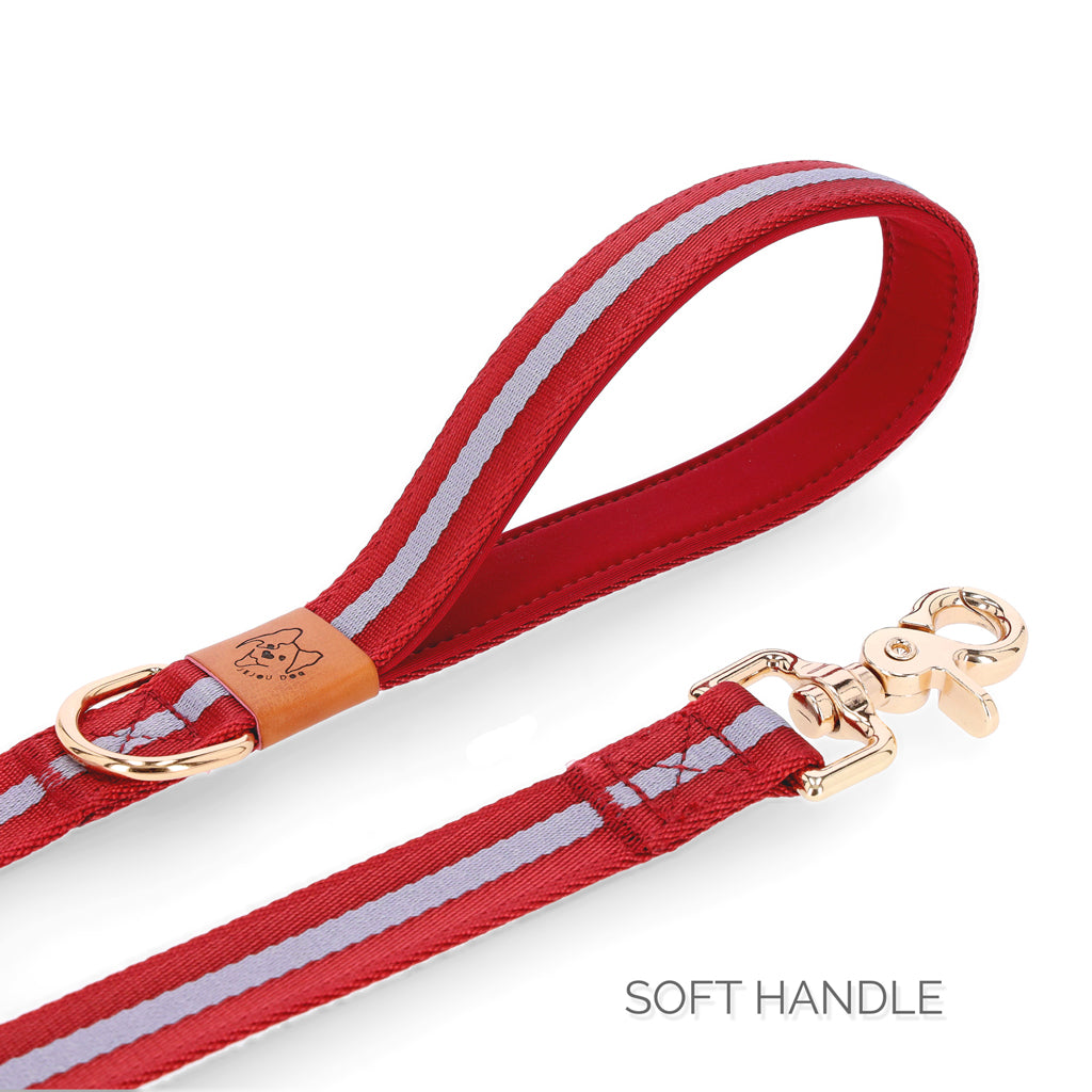 Buy Stylish and Durable Dog Collars