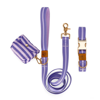 dog leash and collar and bag matching set in purple