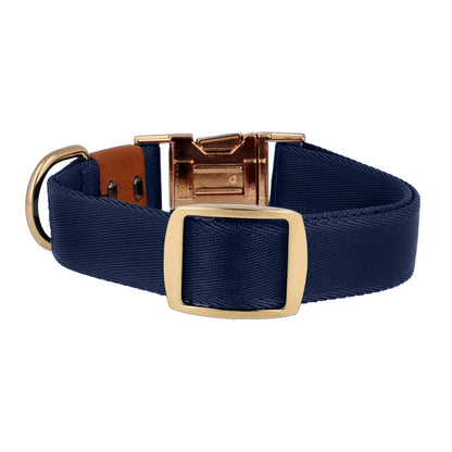 navy adjustable dog collar gold