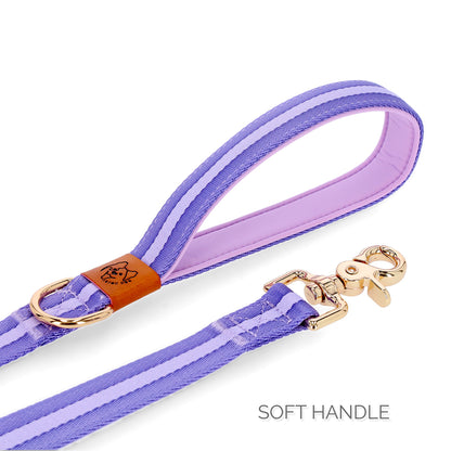 dog leash with soft handle in blue