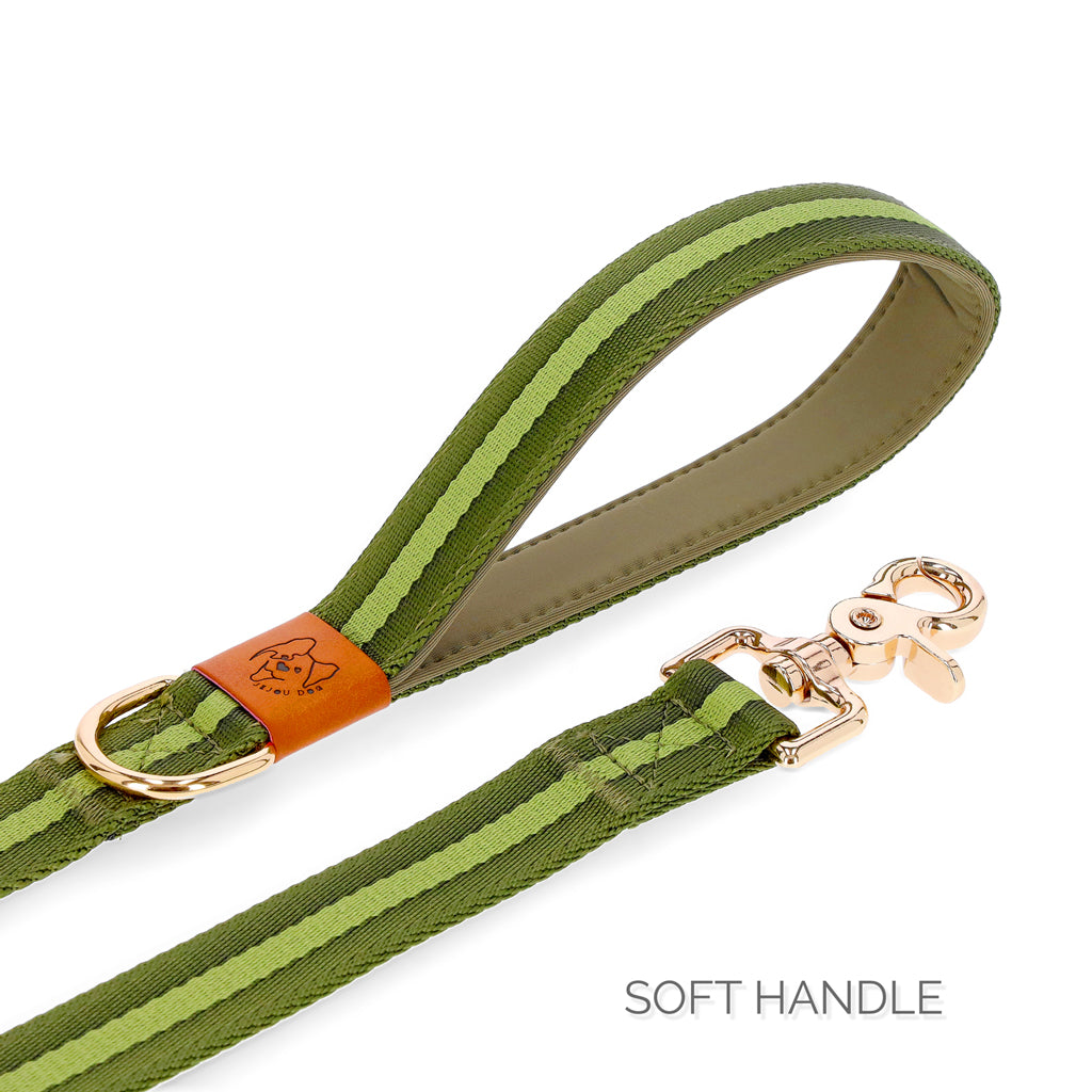 dog leash with soft handle in green