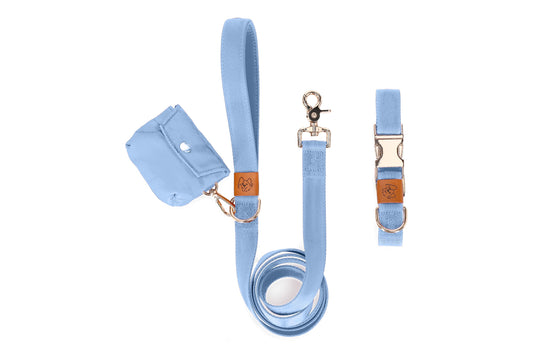 Sky Dog Collar and Leash Matching Set