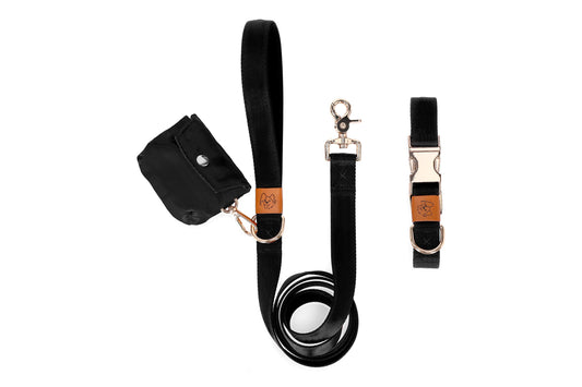 Black Dog Collar and Leash Matching Set