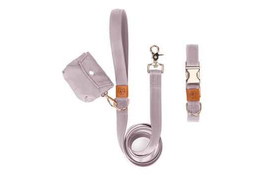 French Dog Collar and Leash Matching Set