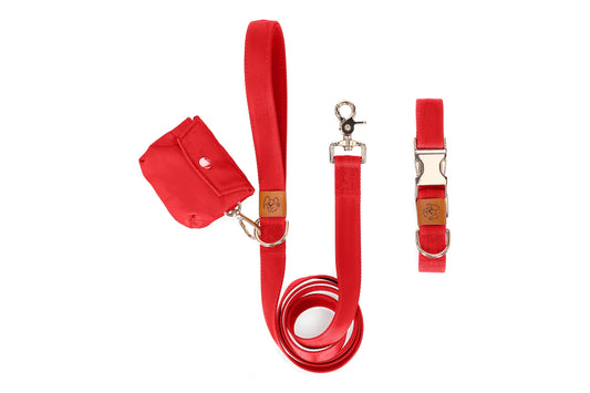 Fire Dog Collar and Leash Matching Set
