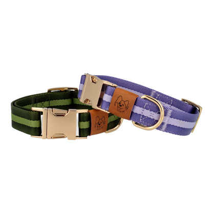 two dog collars green and blue